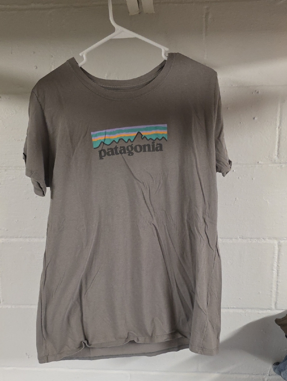 Patagonia Gray Tee with Multicolor Logo